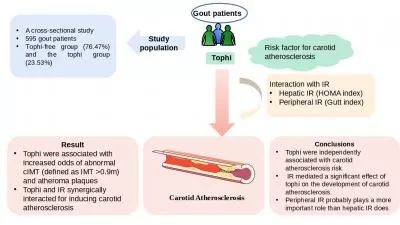 Carotid Atherosclerosis Study population