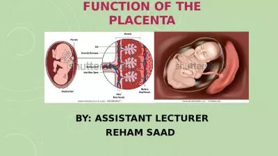 function of the placenta