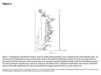 Figure 2 Figure 2.  Phylogenetic classification of HIV-1 strains in dually infected patients.