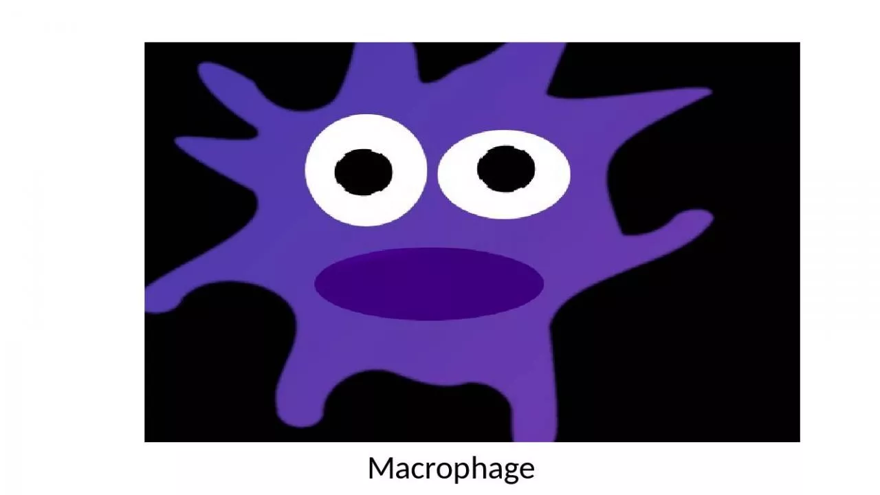 PPT-Macrophage Innate Immune system