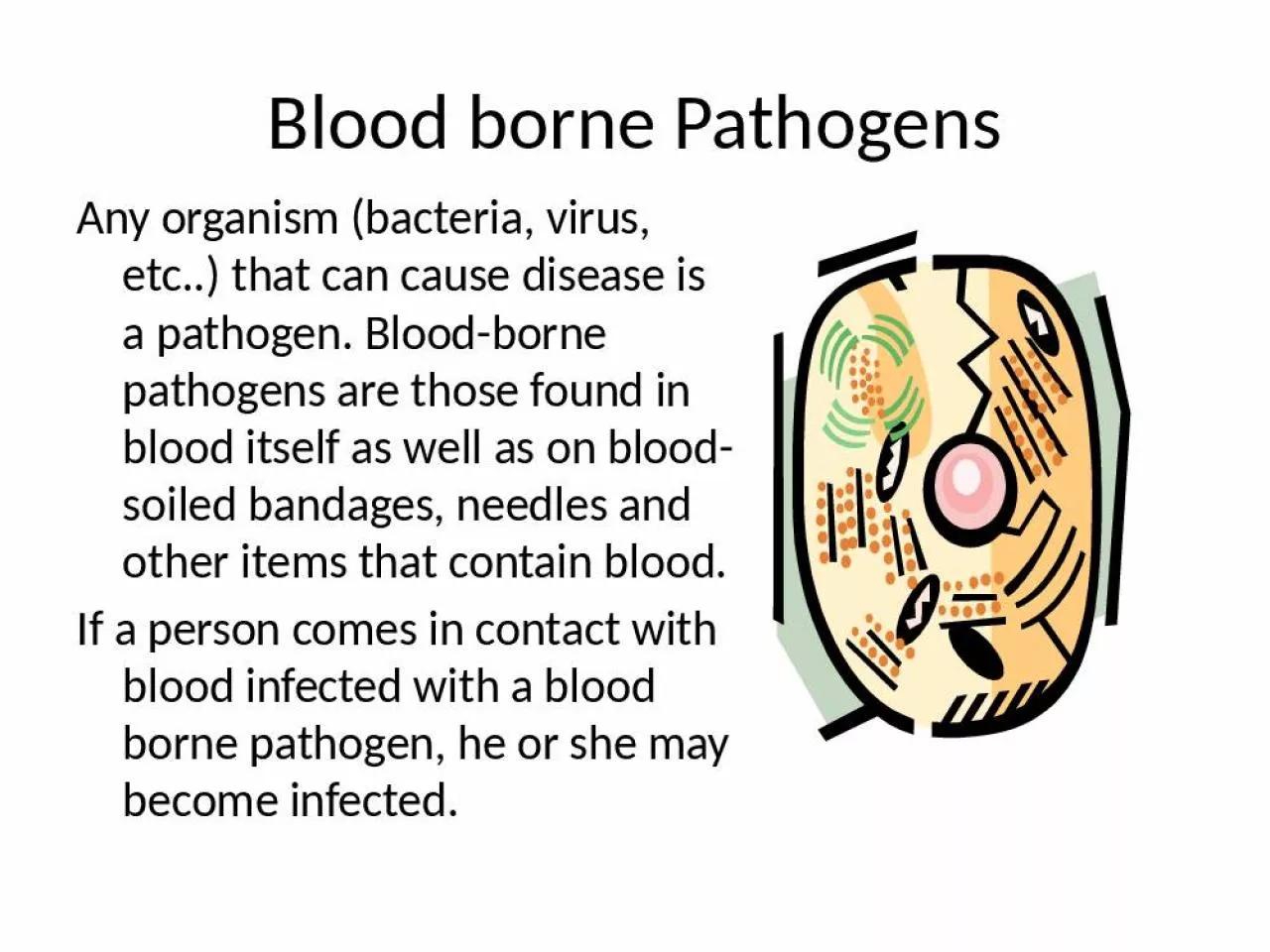 PPT-Any organism (bacteria, virus, etc..) that can cause disease is a pathogen. Blood-borne