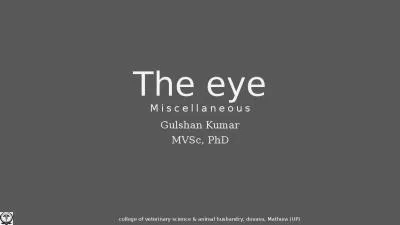 The  eye Miscellaneous Gulshan Kumar