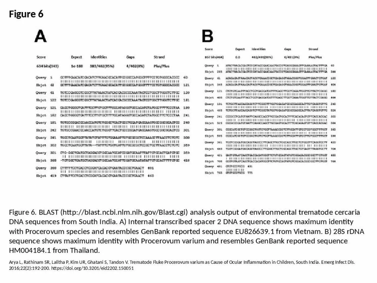 PPT-Figure 6 Figure 6. BLAST (http://blast.ncbi.nlm.nih.gov/Blast.cgi) analysis output of