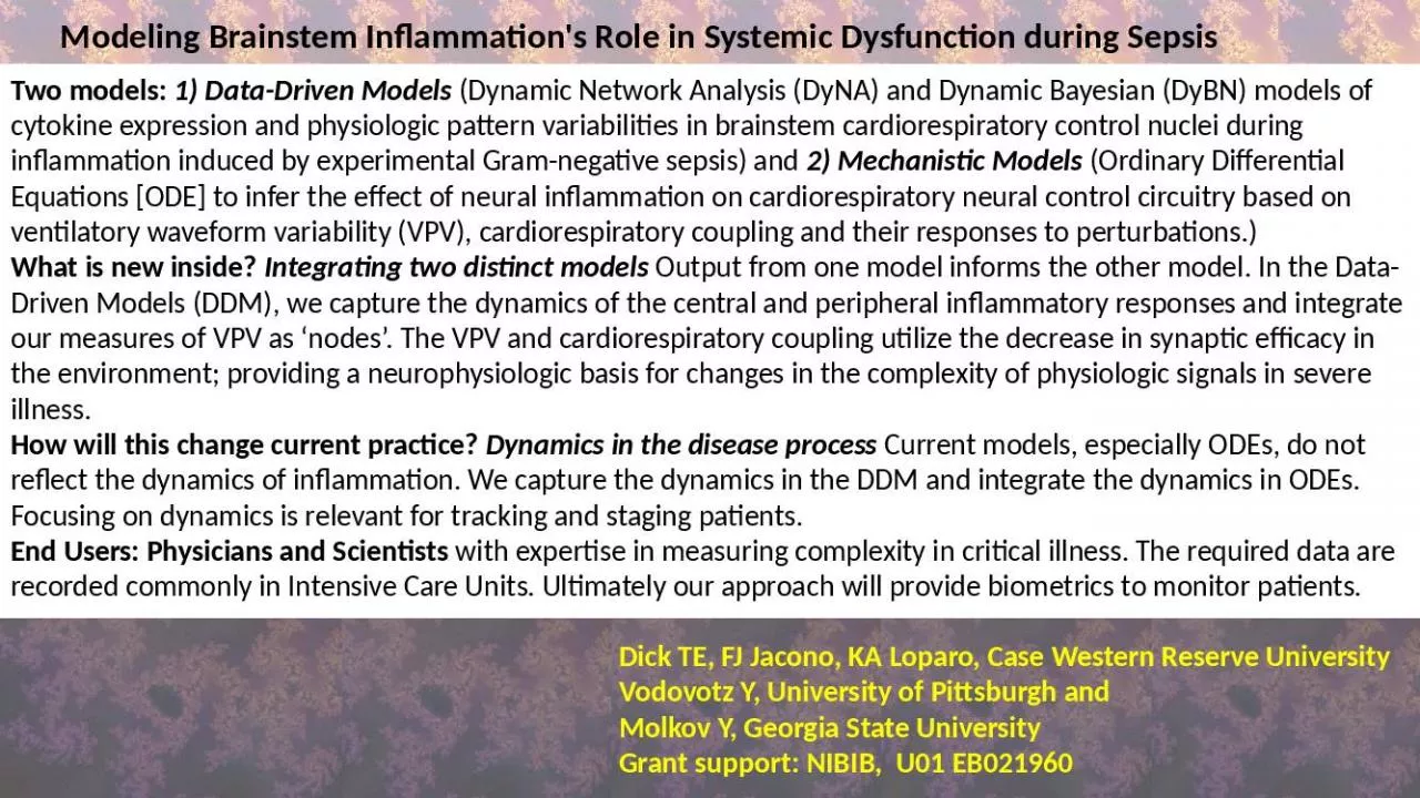 PPT-Modeling Brainstem Inflammation's Role in Systemic Dysfunction during Sepsis