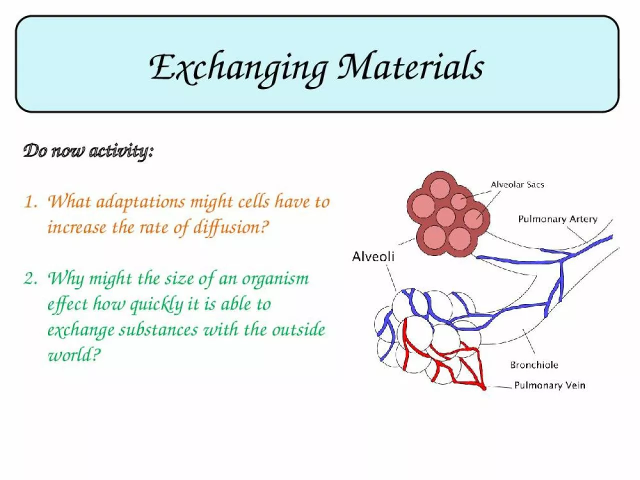 PPT-Exchanging Materials Do now activity: