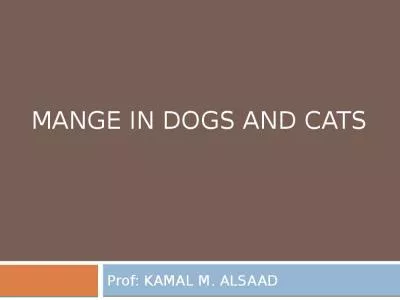 Mange  in  dogs and cats