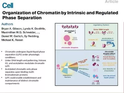 Chromatin   undergoes   liquid-liquid