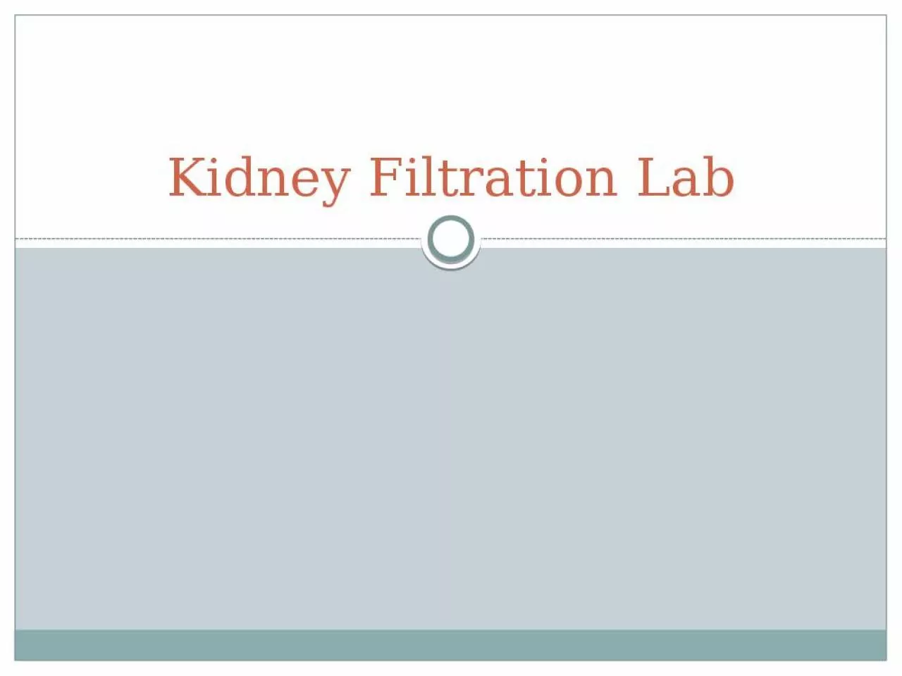 PPT-Kidney Filtration Lab Objectives