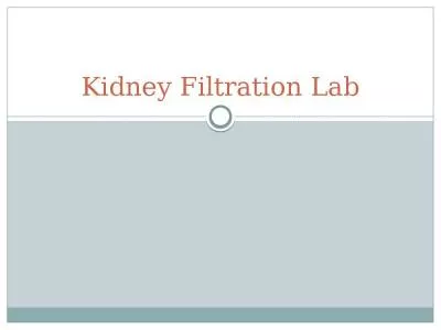 Kidney Filtration Lab Objectives