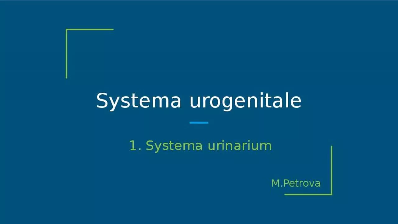 PPT-Systema urogenitale Systema urinarium