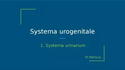 Systema urogenitale Systema urinarium