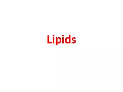 Lipids Lipids      Lipids