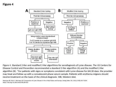 Figure 4 Figure 4. Standard 2-tier and modified 2-tier algorithms for serodiagnosis of