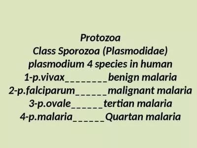 Protozoa Class  Sporozoa