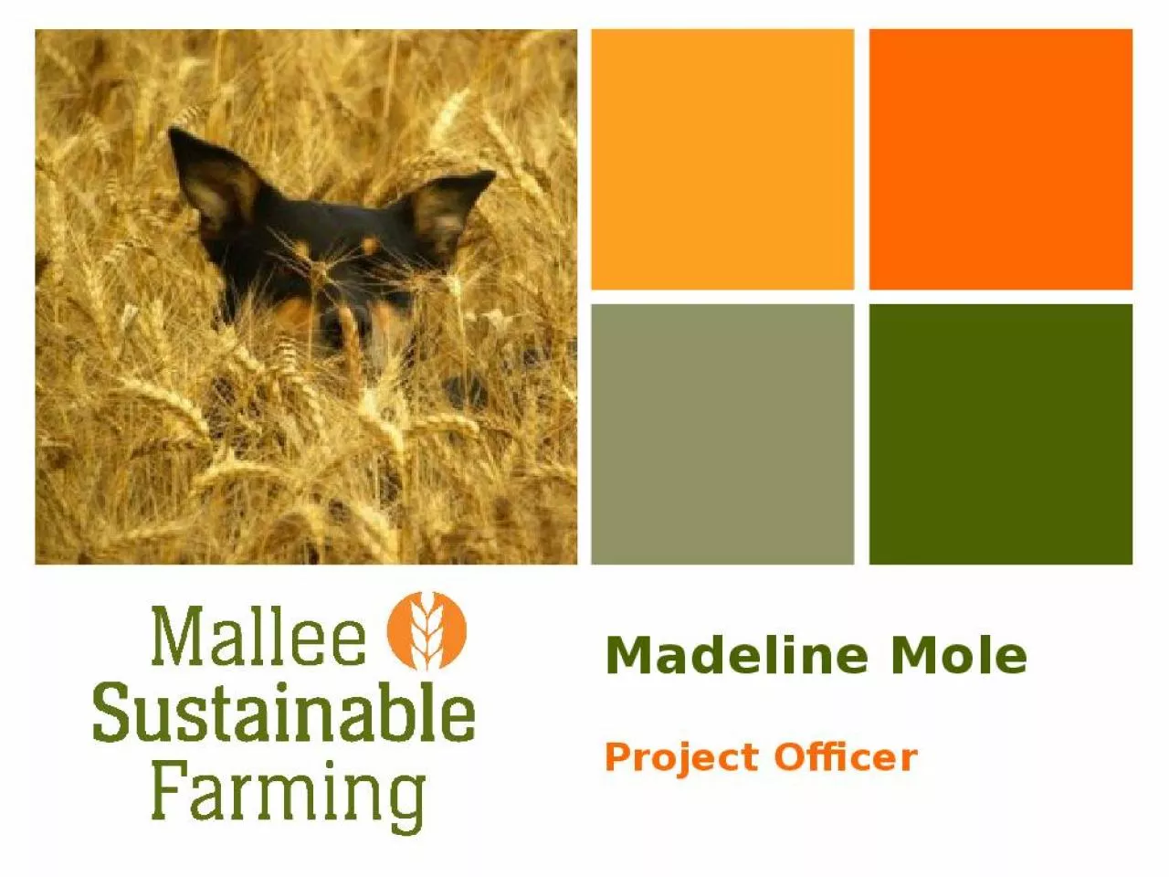 PPT-Madeline Mole Project Officer