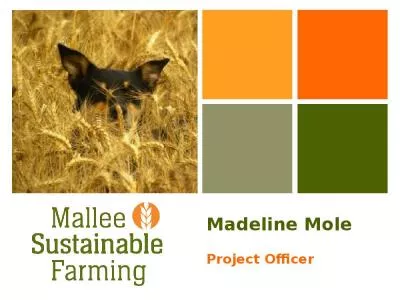 Madeline Mole Project Officer