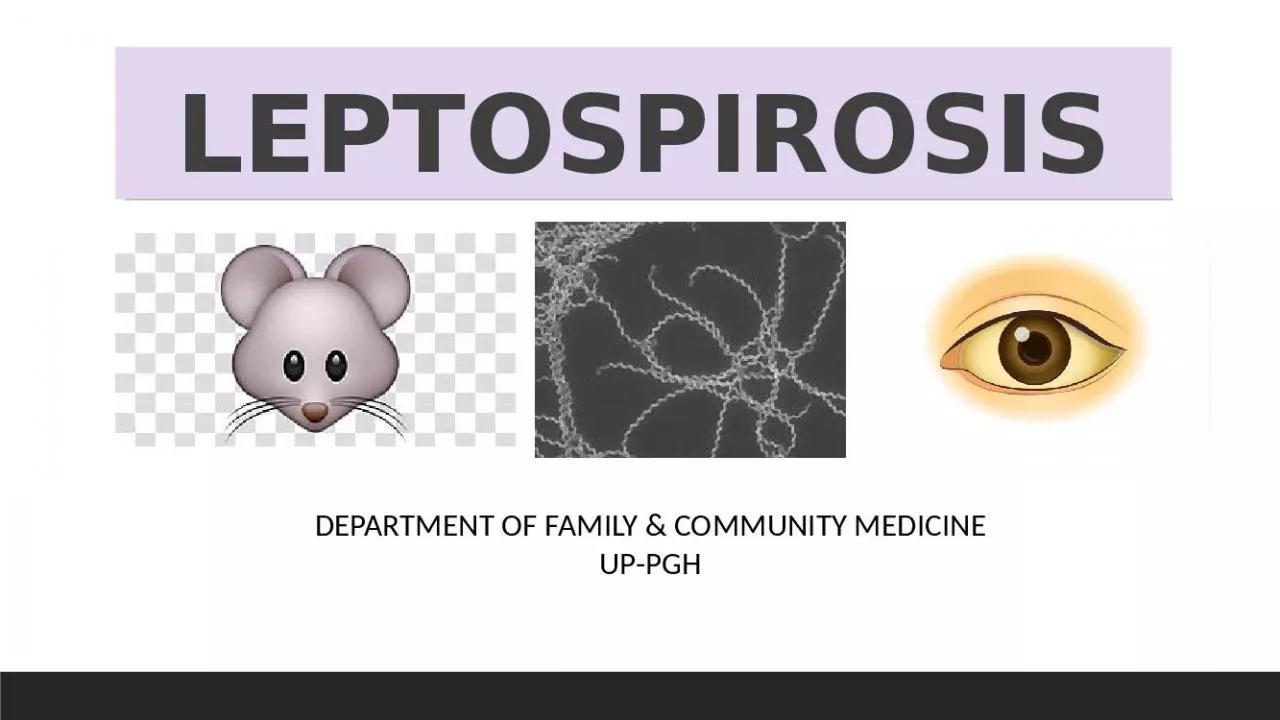 PPT-LEPTOSPIROSIS DEPARTMENT OF FAMILY & COMMUNITY MEDICINE