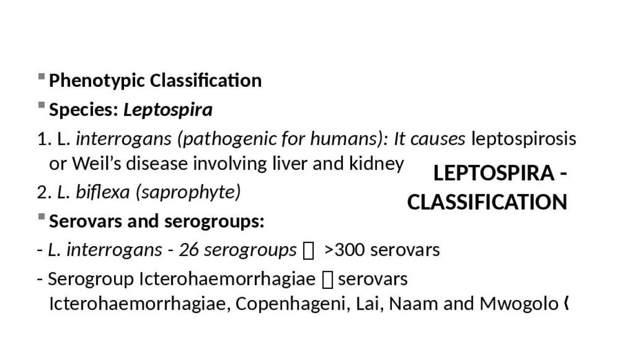 PPT-Phenotypic Classification