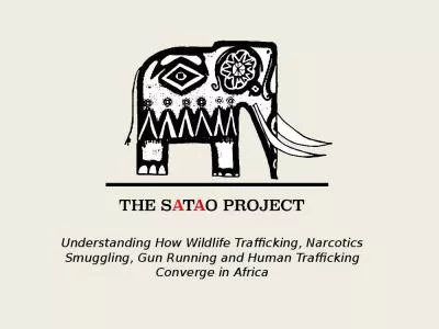 Understanding How Wildlife Trafficking, Narcotics Smuggling, Gun Running and Human Trafficking Conv