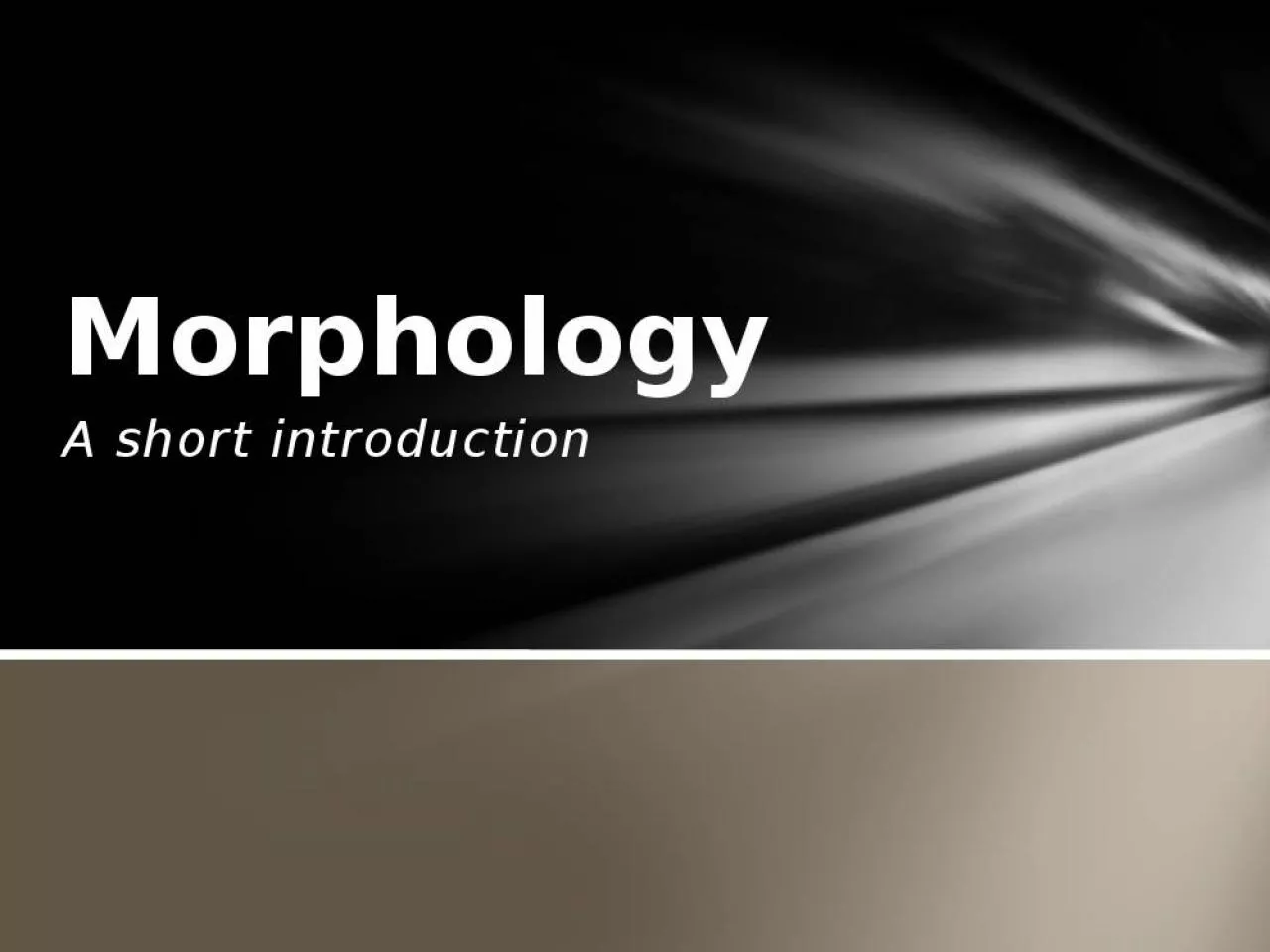 PPT-A short introduction Morphology