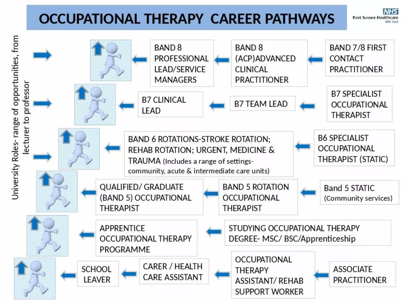 PPT-OCCUPATIONAL THERAPY CAREER PATHWAYS