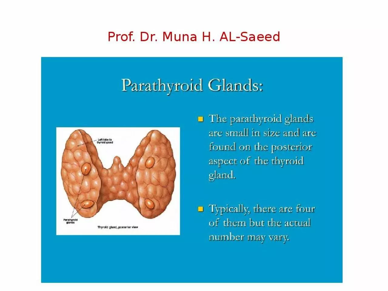 PPT-Prof. Dr. Muna H. AL- Saeed