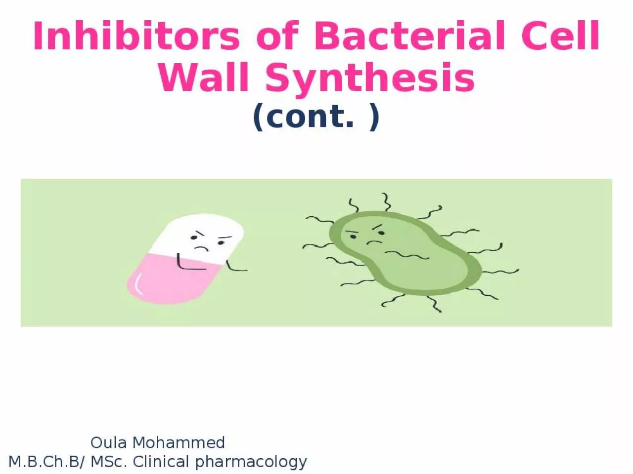 PPT-Inhibitors of Bacterial Cell Wall Synthesis