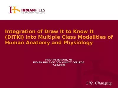 Integration of  Draw It to Know It (DITKI