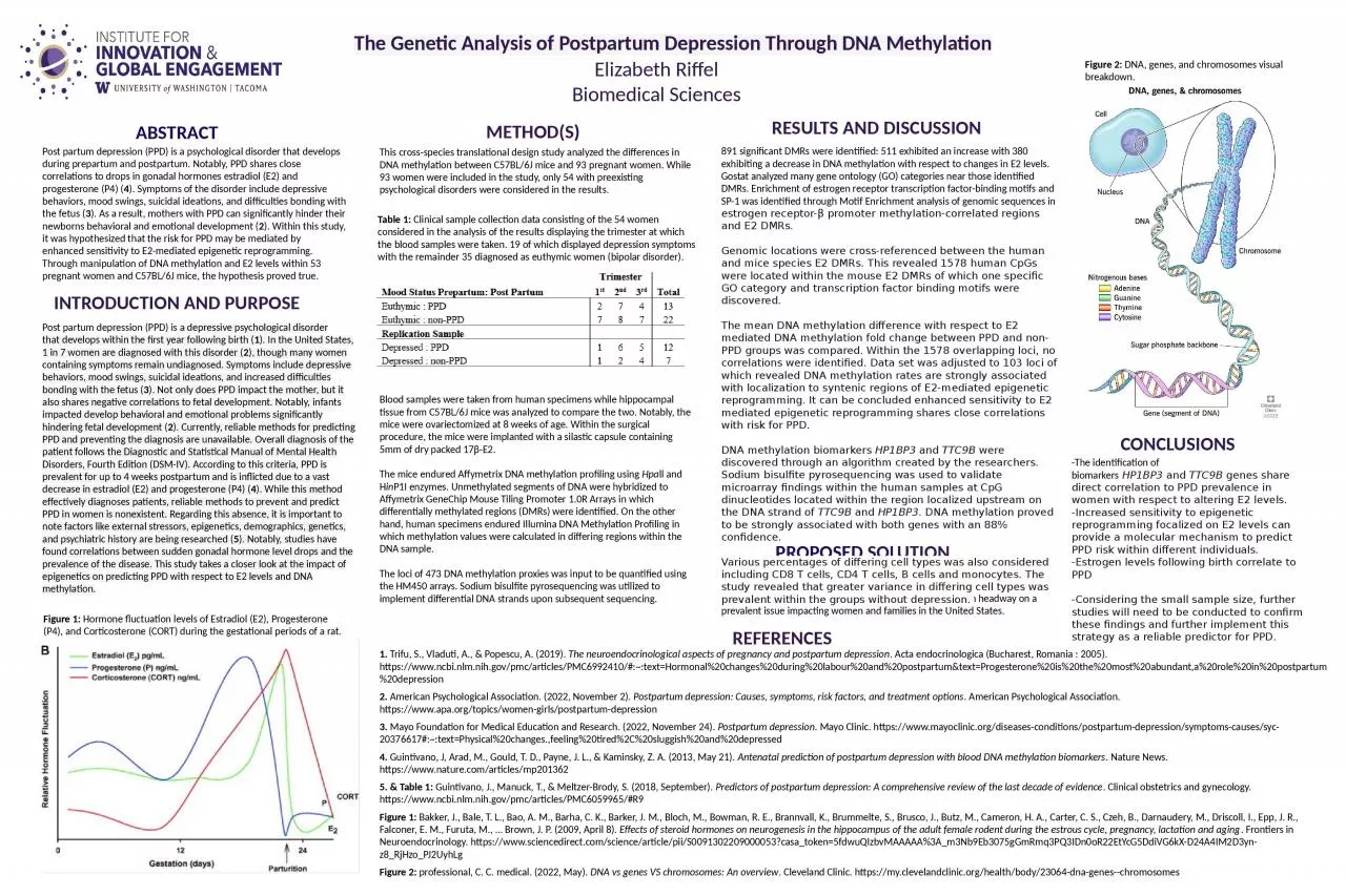 PPT-The Genetic Analysis of Postpartum Depression Through DNA Methylation