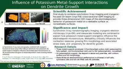 Influence of Potassium Metal-Support Interactions on Dendrite Growth