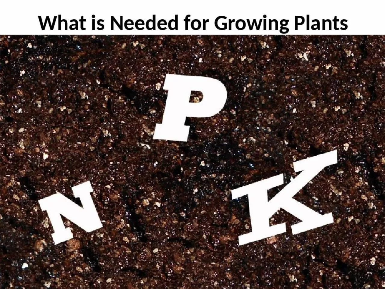 PPT-What is Needed for Growing Plants