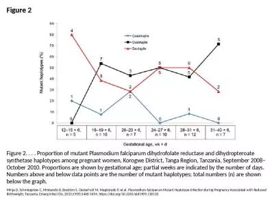 Figure 2 Figure 2. . . . Proportion of mutant Plasmodium falciparum dihydrofolate reductase