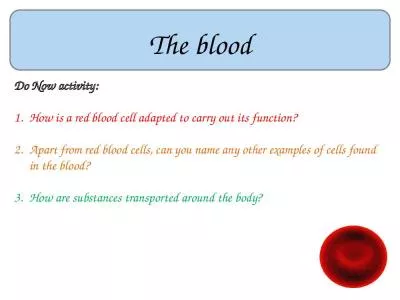 The blood Do Now activity: