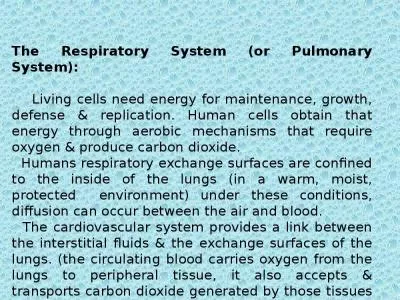 The Respiratory System (or Pulmonary System):