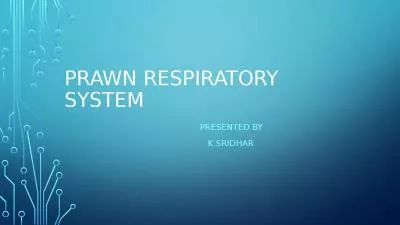 Prawn respiratory system