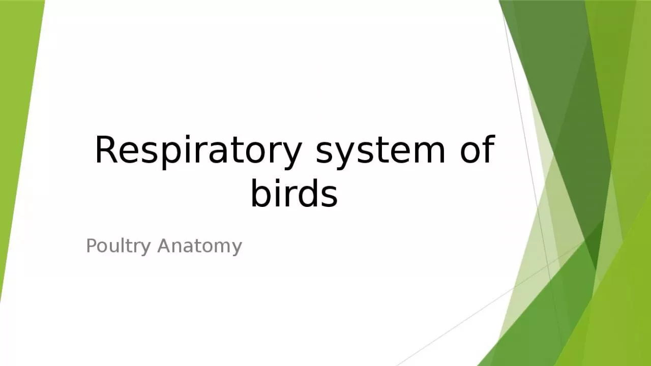 PPT-Respiratory system of birds