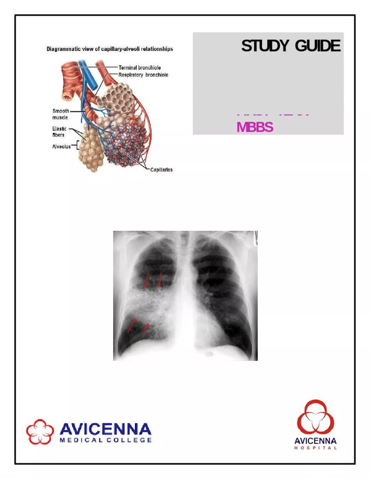 PPT-RESPIRATORY SYSTEM-I MO