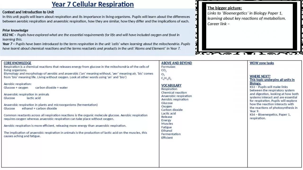 PPT-Year 7 Cellular Respiration