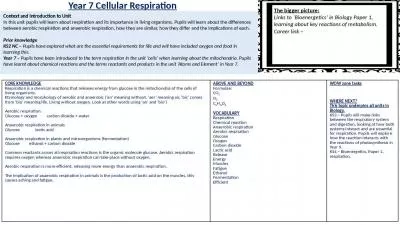 Year 7 Cellular Respiration