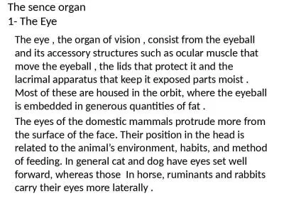 The  sence  organ  1- The Eye