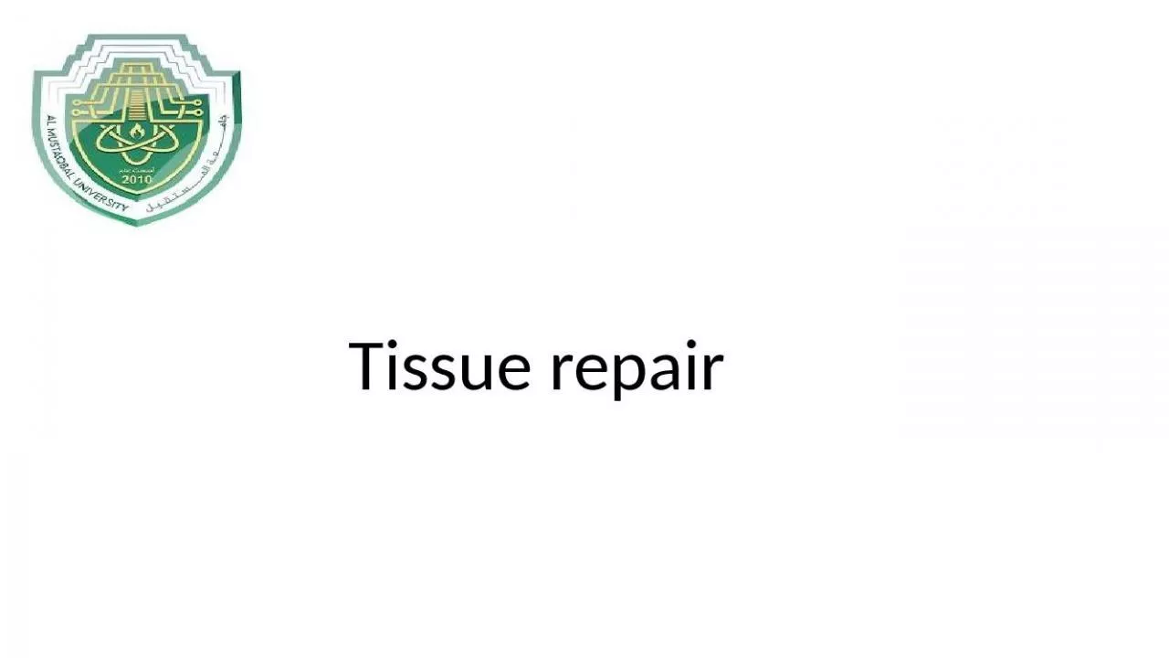 PPT-Tissue repair REGENER A