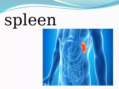 spleen Sickle cell disease