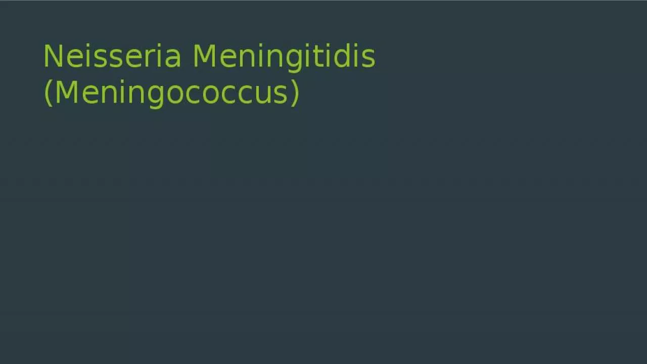 PPT-Neisseria Meningitidis (Meningococcus)