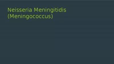 Neisseria Meningitidis (Meningococcus)