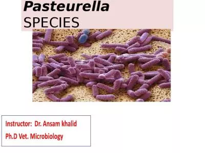 Pasteurella     SPECIES -gram negative,