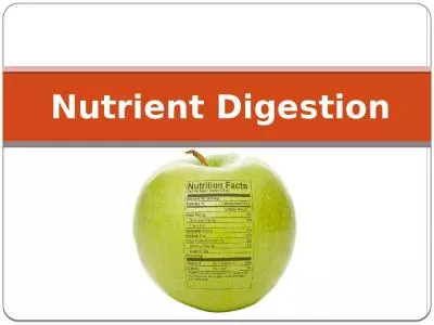 Nutrient Digestion What Are Nutrients?