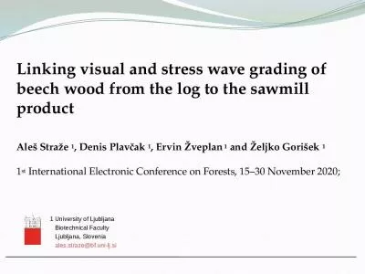 Linking visual and stress wave grading of beech wood from the log to the sawmill product