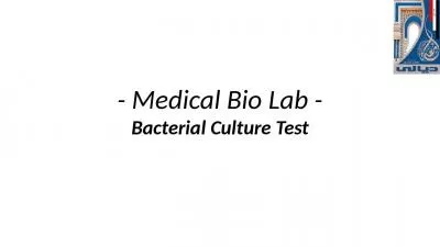 - Medical Bio Lab - Bacterial