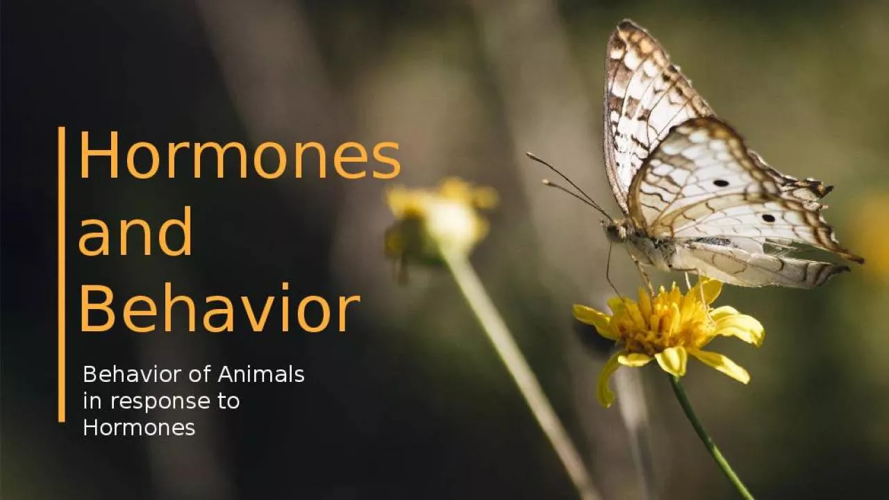 PPT-Hormones and Behavior Behavior of Animals in response to Hormones