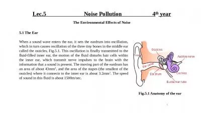 Lec.5                          Noise Pollution                     4